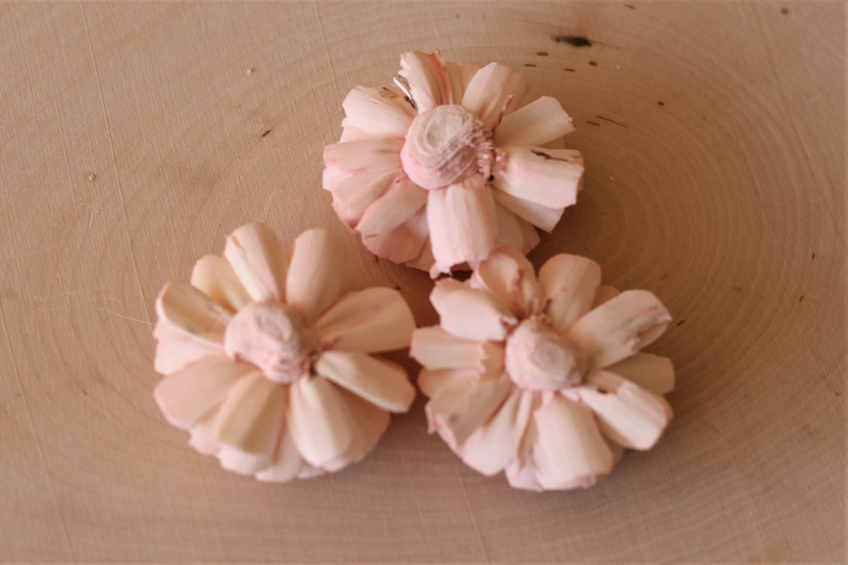 Blush Pink Bali Sola Flowers 2" ( Set of 12 )