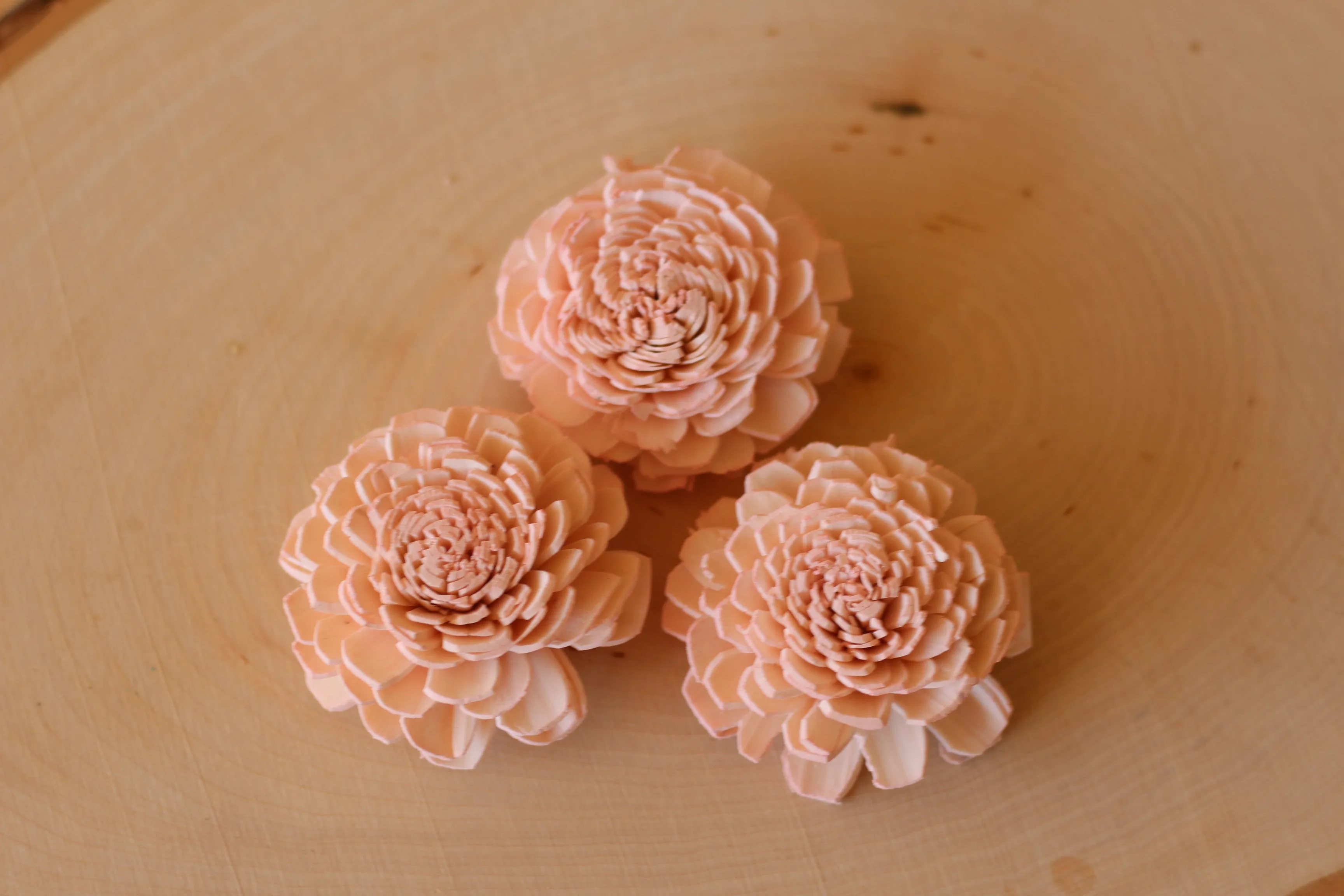 Blush Pink Bali Sola Flowers 2" ( Set of 12 )