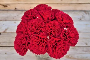 Candy Red Stemmed Sola Wood Carnation Flowers, Gift for Her, Sola Flowers on Wire Stems, DIY sola bouquet