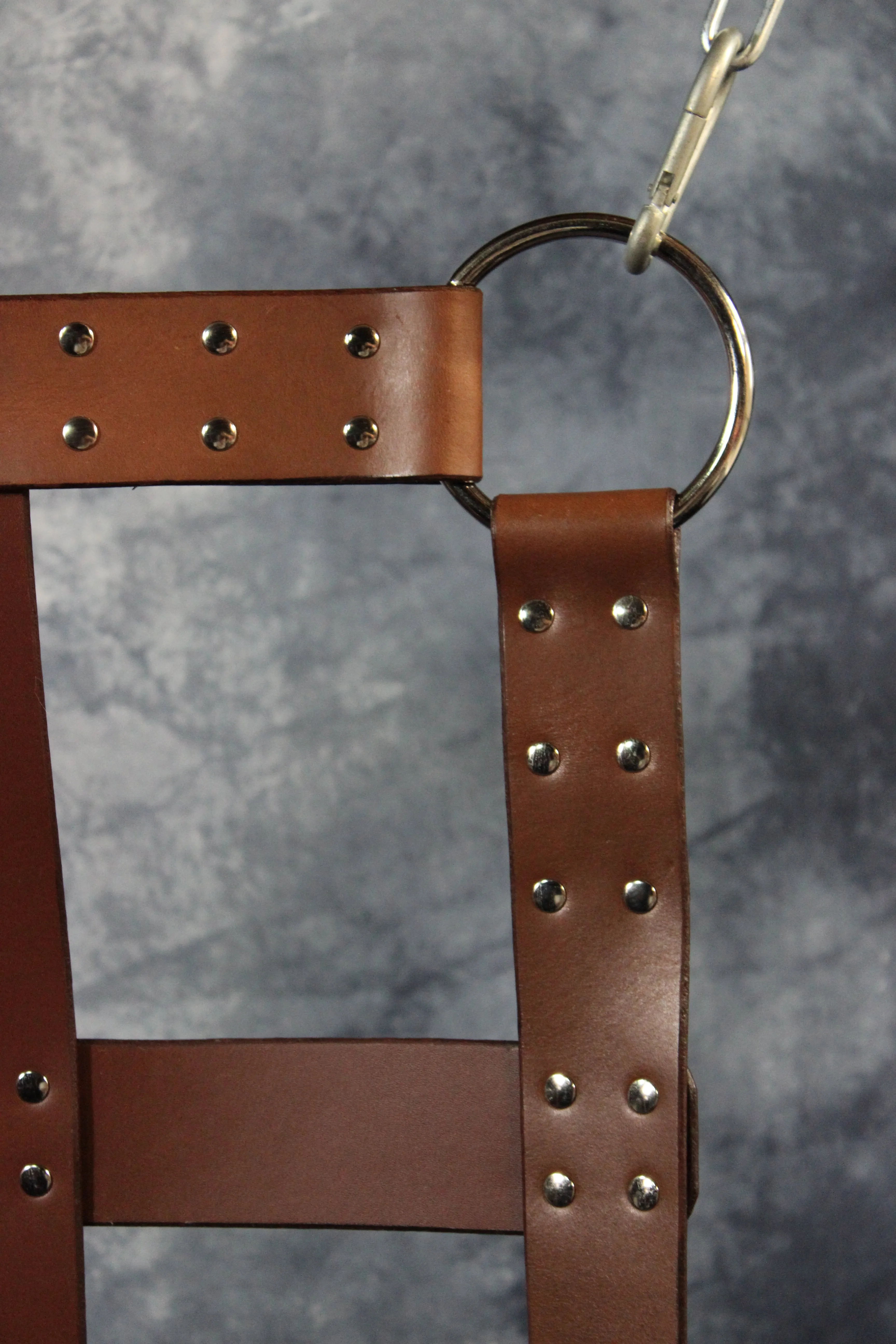 Classic Webbed Leather Sling