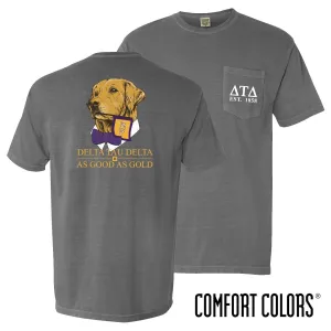 Delt Comfort Colors Retriever Flag Tee