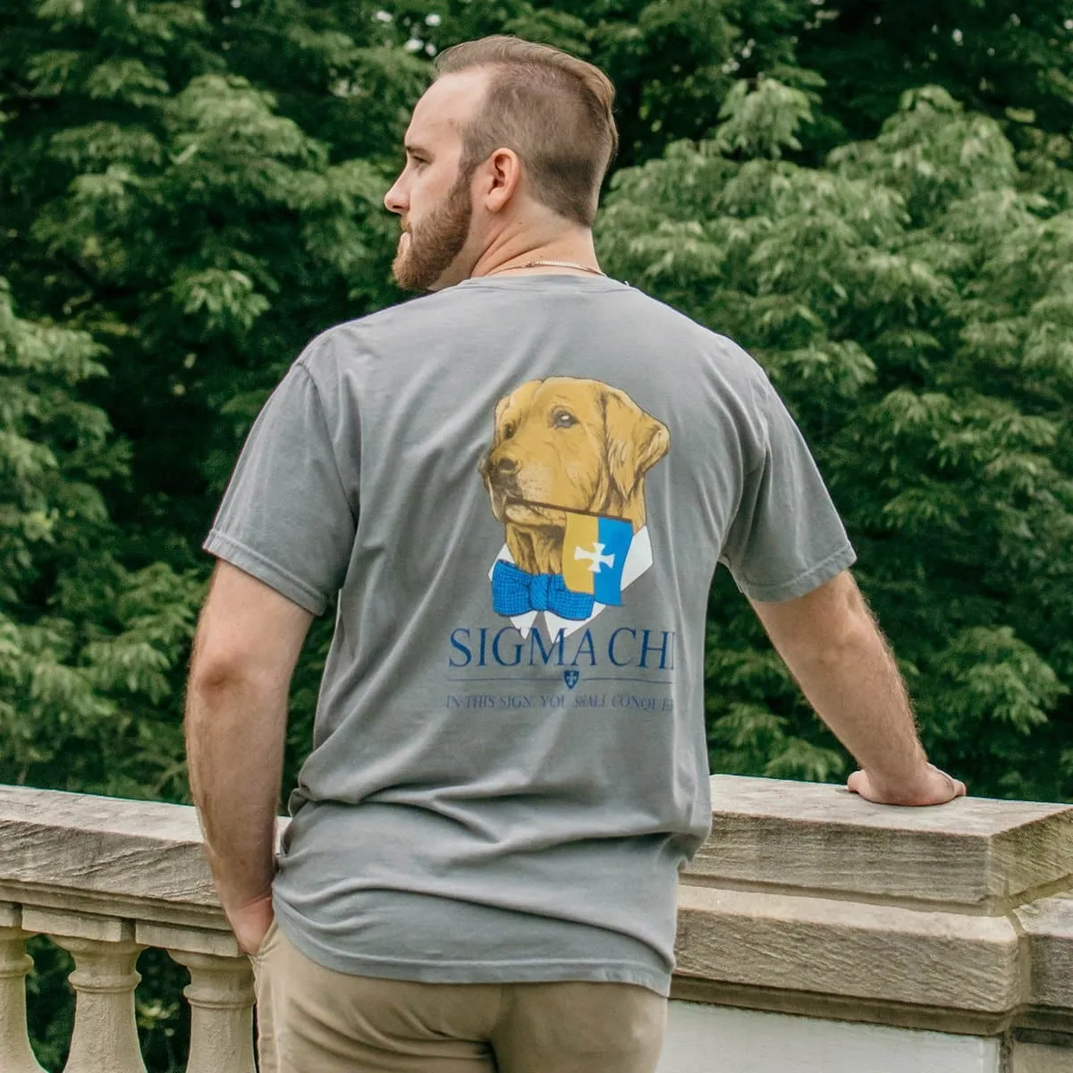 Delt Comfort Colors Retriever Flag Tee