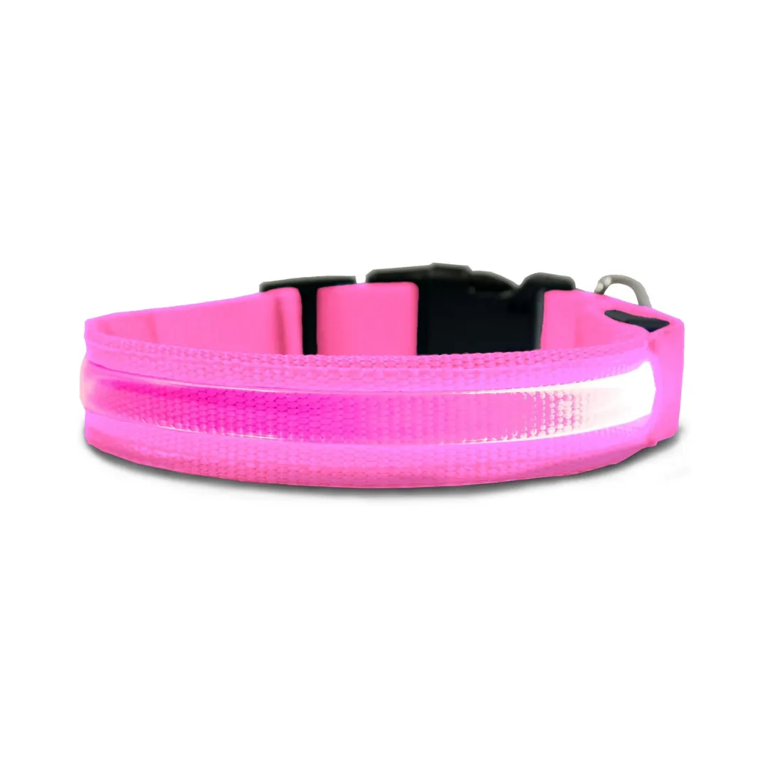 Furhaven LED Safety Light-Up Pink Dog Collar