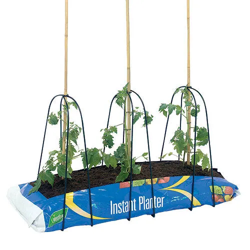 Grow Bag Cane Frame