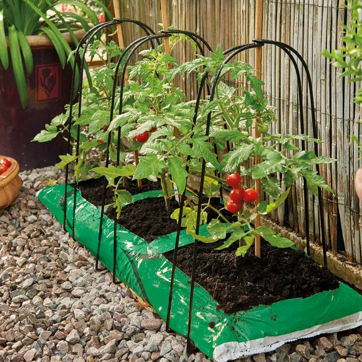 Grow Bag Cane Frame