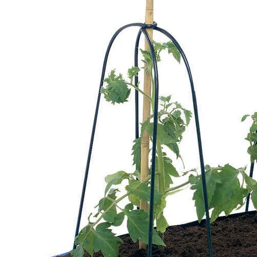 Grow Bag Cane Frame