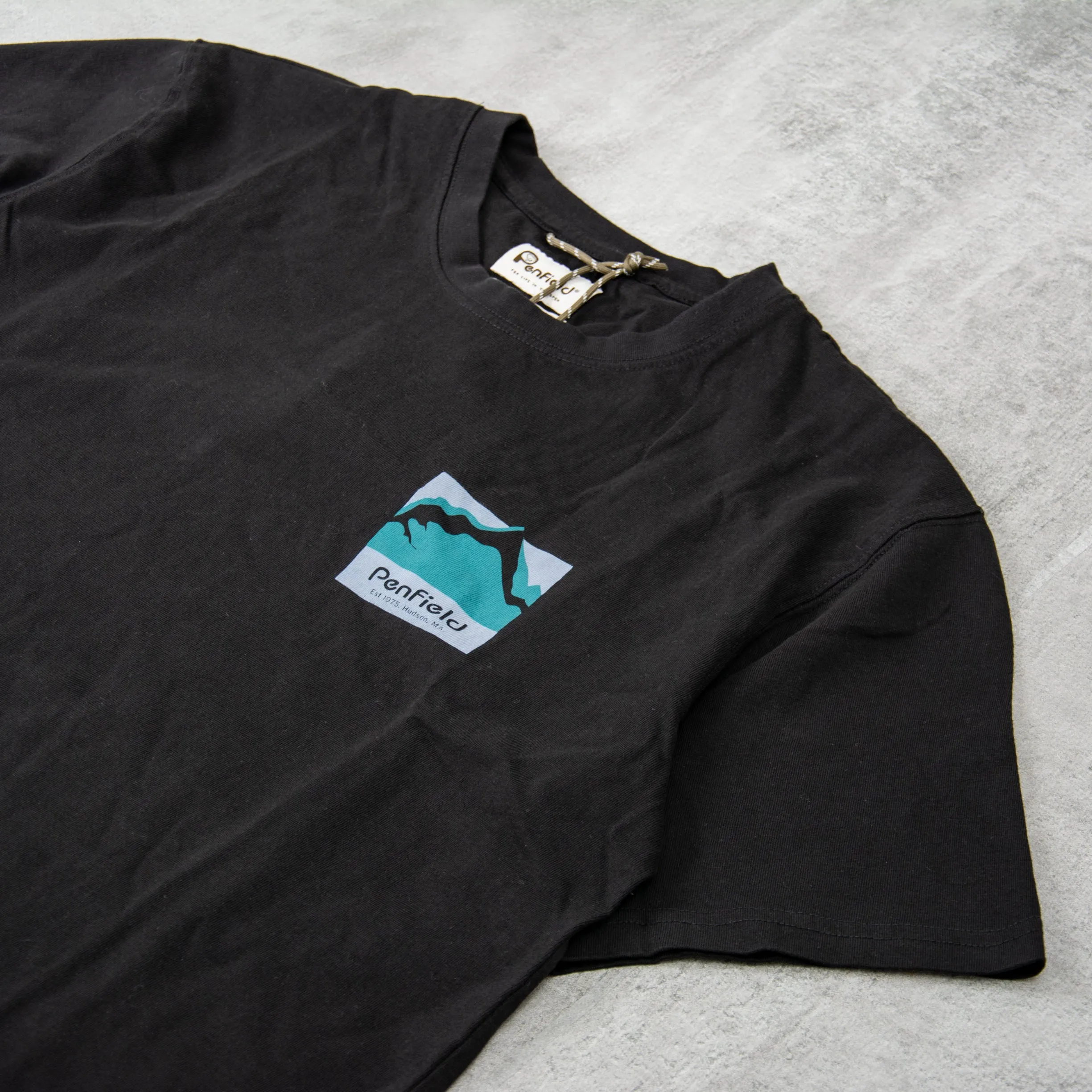 Penfield Mountain Scene Back Graphic Tee - Black