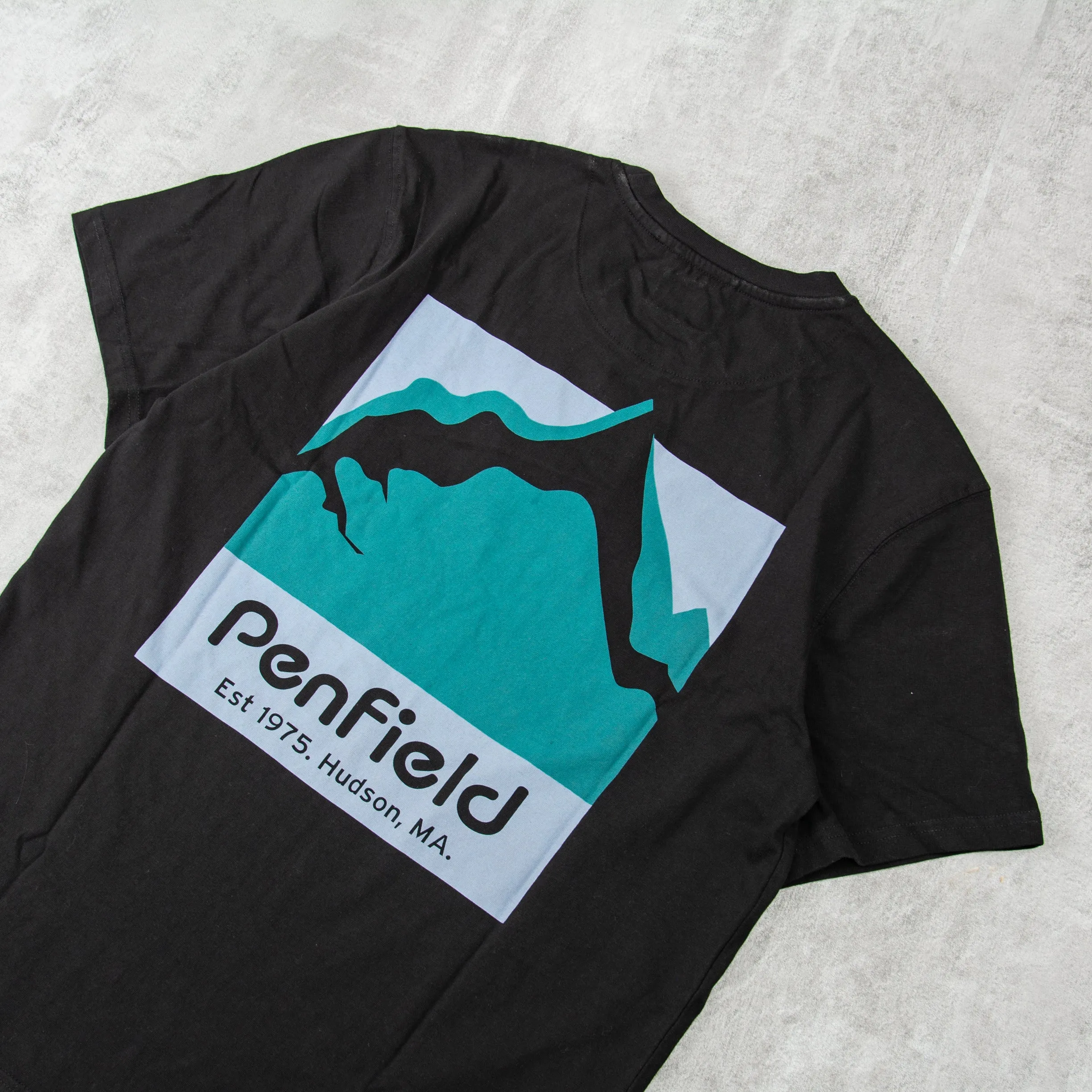 Penfield Mountain Scene Back Graphic Tee - Black