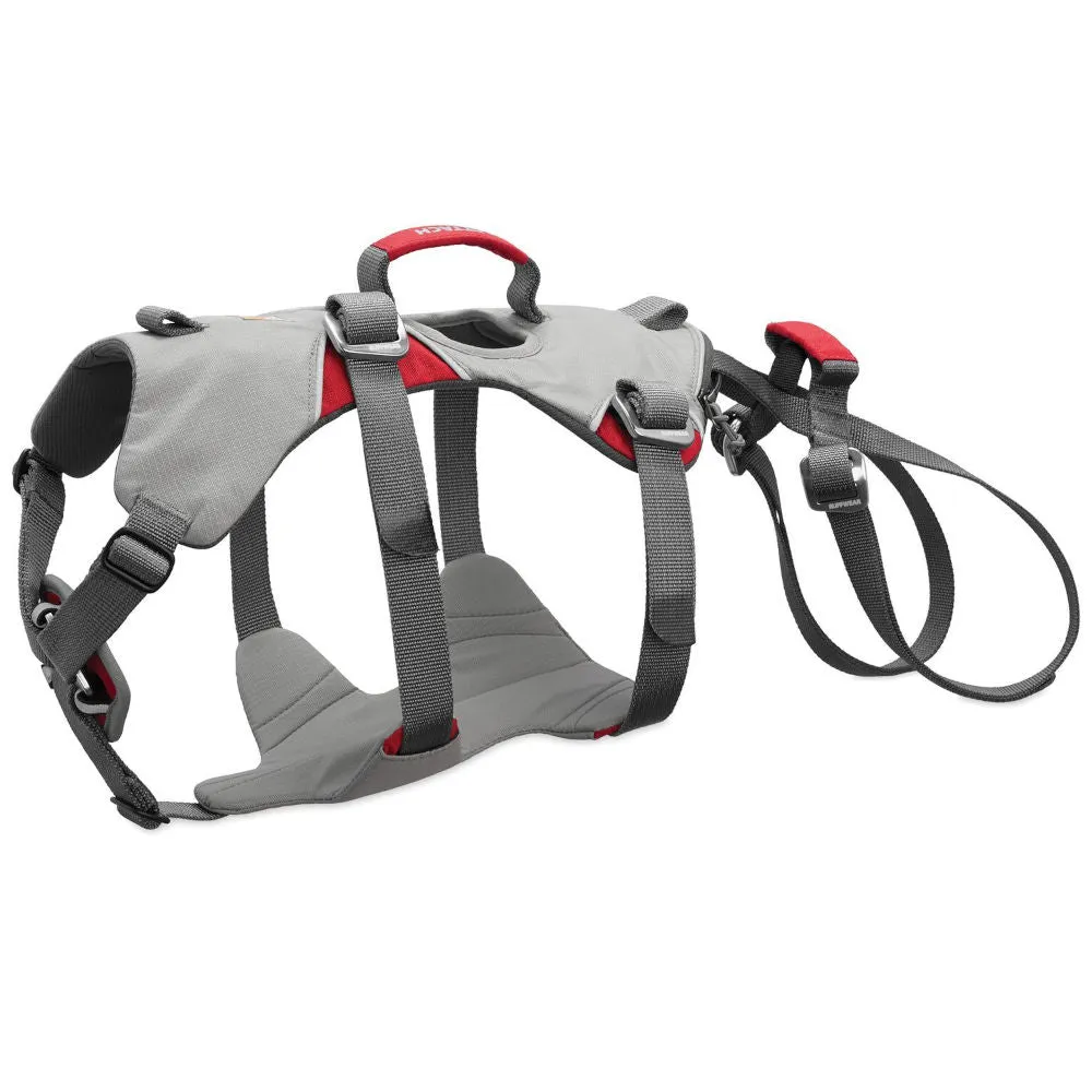 Ruffwear Doubleback Full Body Safety Dog Harness